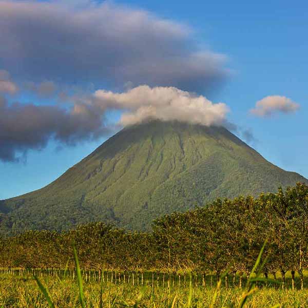 Beautiful Tropical Volcano V will make a perfect background for any fresh or salt water tank or aquarium as well as dry terrariums.