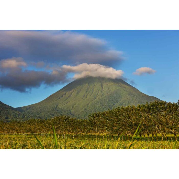 Beautiful Tropical Volcano V will make a perfect background for any fresh or salt water tank or aquarium as well as dry terrariums.