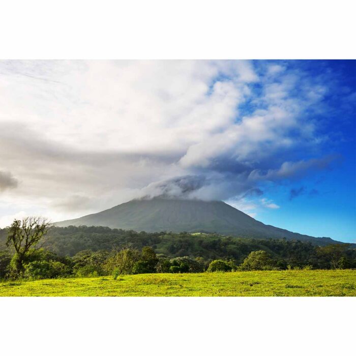 Beautiful Tropical Volcano VI will make a perfect background for any fresh or salt water tank or aquarium as well as dry terrariums.