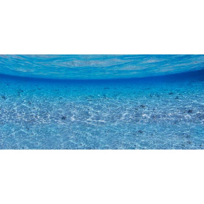 Blue Ocean Underwater will make a perfect background for any fresh or salt water tank or aquarium as well as dry terrariums.