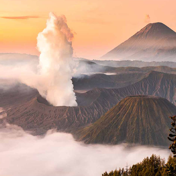 Bromo Batok Volcano will make a perfect background for any fresh or salt water tank or aquarium as well as dry terrariums.