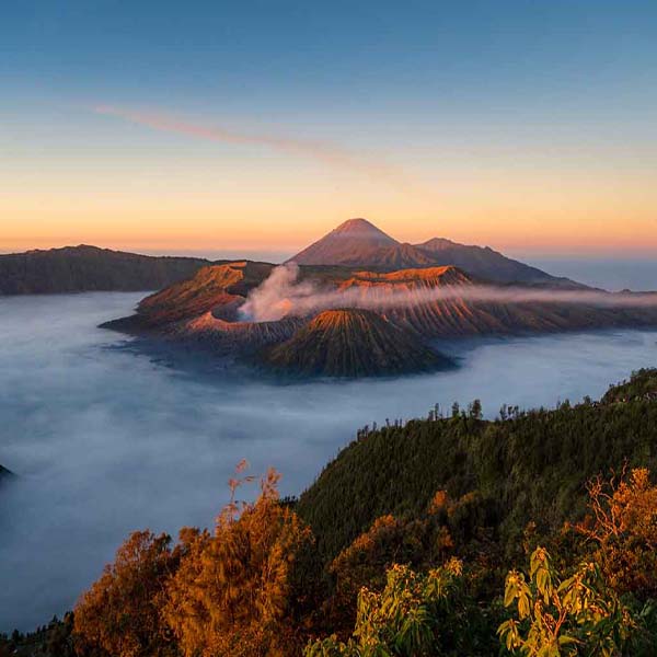 Bromo Sunrise Volcano will make a perfect background for any fresh or salt water tank or aquarium as well as dry terrariums.