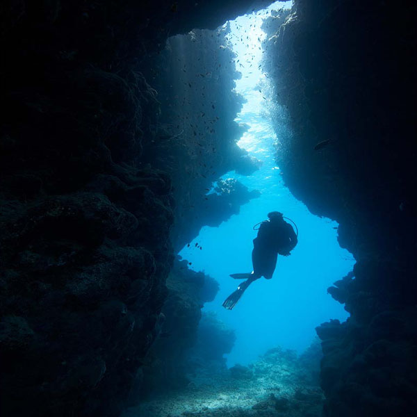 Cave Diver Underwater will make a perfect background for any fresh or salt water tank or aquarium as well as dry terrariums.