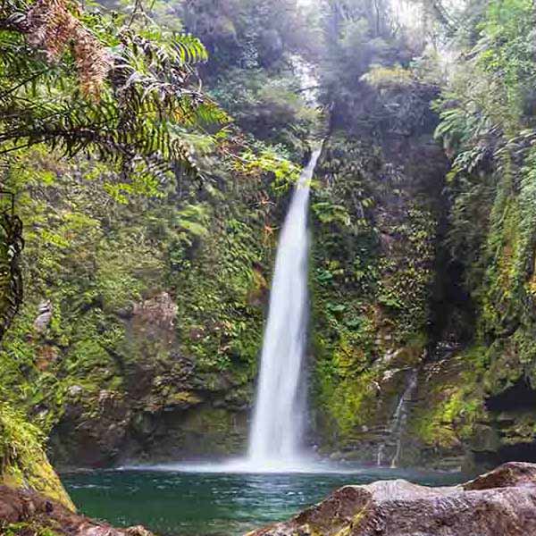 Chile Jungle Waterfall will make a perfect background for any fresh or salt water tank or aquarium as well as dry terrariums.