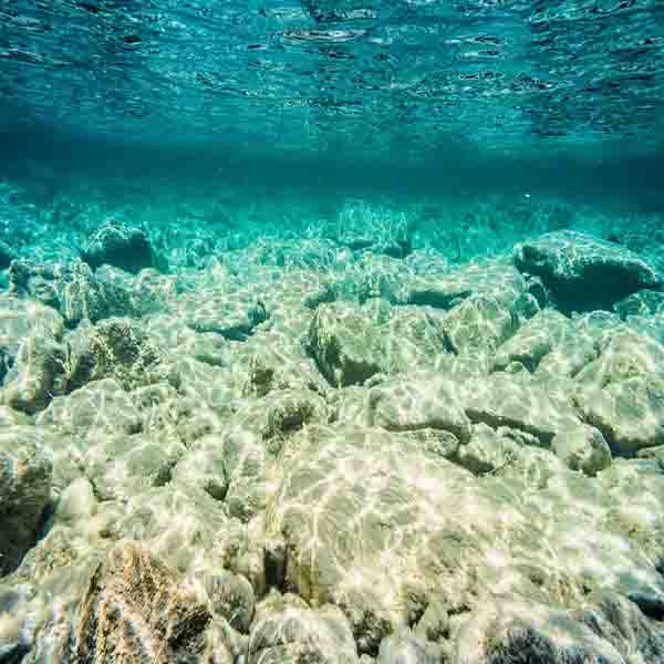 Clear River Bottom will make a perfect background for any fresh or salt water tank or aquarium as well as dry terrariums.