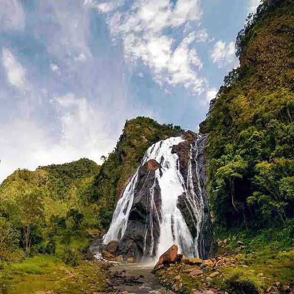 Cloudy Jungle Waterfall will make a perfect background for any fresh or salt water tank or aquarium as well as dry terrariums.