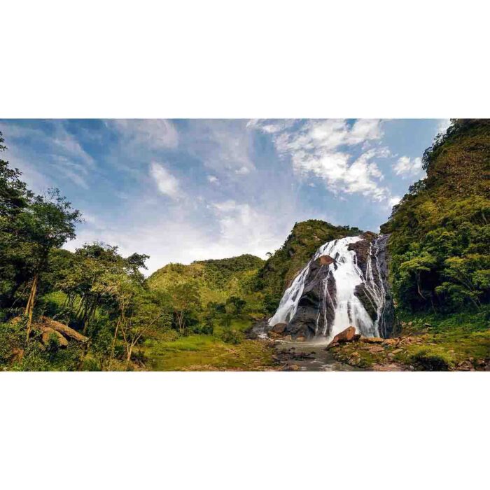 Cloudy Jungle Waterfall will make a perfect background for any fresh or salt water tank or aquarium as well as dry terrariums.