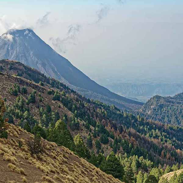 Colima Volcano Landscape will make a perfect background for any fresh or salt water tank or aquarium as well as dry terrariums.