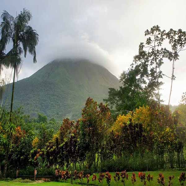 Costa Rica Volcano will make a perfect background for any fresh or salt water tank or aquarium as well as dry terrariums.