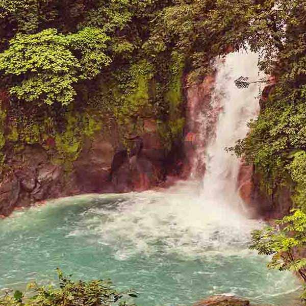 Costa Rican Waterfall will make a perfect background for any fresh or salt water tank or aquarium as well as dry terrariums.