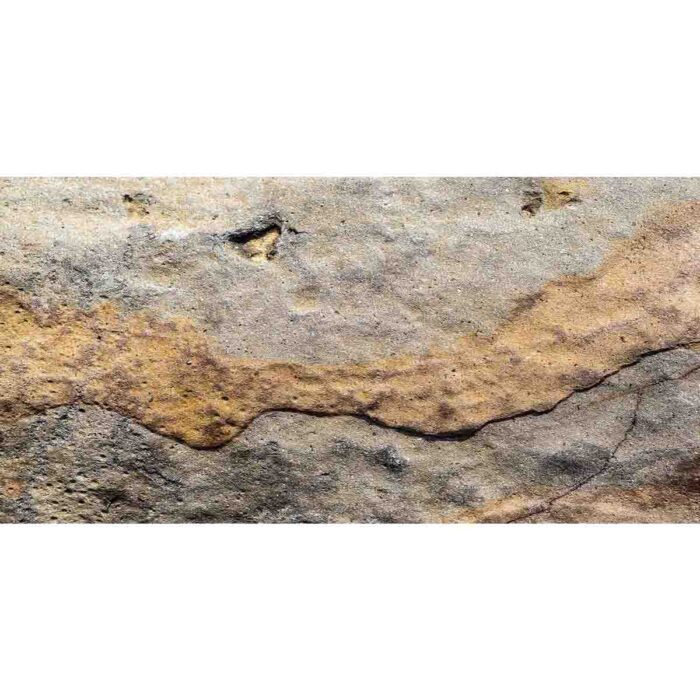 Cracked Rock Texture will make a perfect background for any fresh or salt water tank or aquarium as well as dry terrariums.