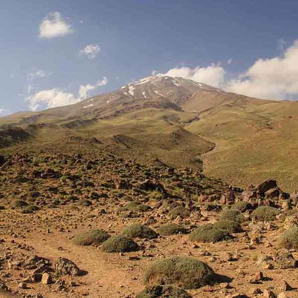 Damavand Volcano Mountain will make a perfect background for any fresh or salt water tank or aquarium as well as dry terrariums.