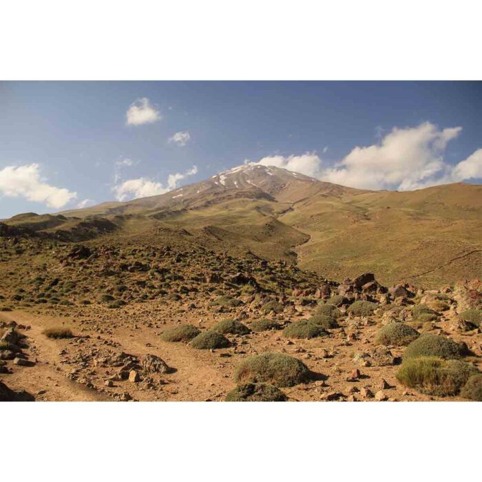 Damavand Volcano Mountain will make a perfect background for any fresh or salt water tank or aquarium as well as dry terrariums.