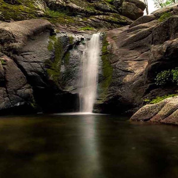 Dark Stone Waterfall will make a perfect background for any fresh or salt water tank or aquarium as well as dry terrariums.