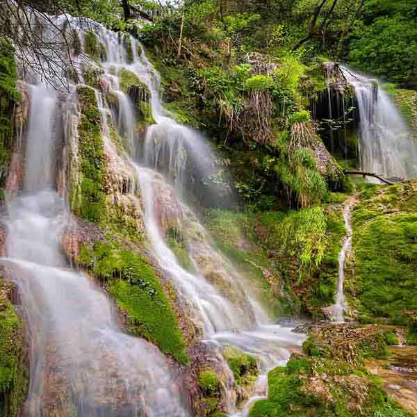 Dazzling Forest Waterfall will make a perfect background for any fresh or salt water tank or aquarium as well as dry terrariums.