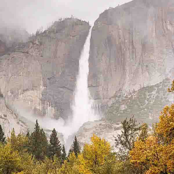 Distant Misty Waterfall will make a perfect background for any fresh or salt water tank or aquarium as well as dry terrariums.