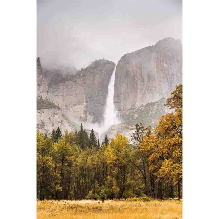 Distant Misty Waterfall will make a perfect background for any fresh or salt water tank or aquarium as well as dry terrariums.