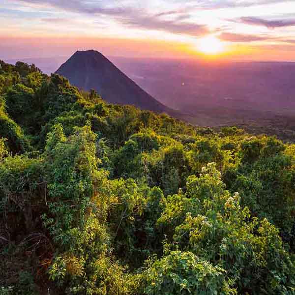 El Salvador Volcano will make a perfect background for any fresh or salt water tank or aquarium as well as dry terrariums.