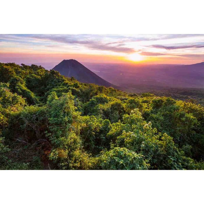 El Salvador Volcano will make a perfect background for any fresh or salt water tank or aquarium as well as dry terrariums.