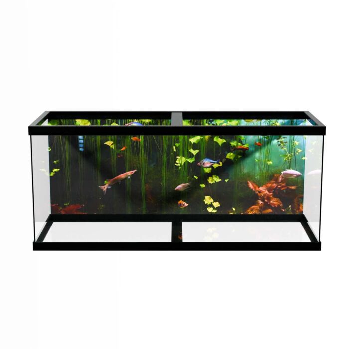 Freshwater Fish Scene will make a perfect background for any fresh or salt water tank or aquarium as well as dry terrariums.