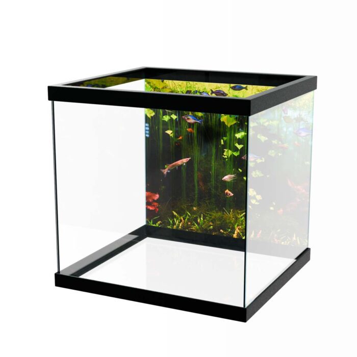 Freshwater Fish Scene will make a perfect background for any fresh or salt water tank or aquarium as well as dry terrariums.