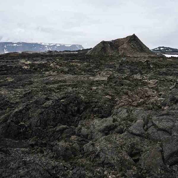 Geothermal Area Volcano will make a perfect background for any fresh or salt water tank or aquarium as well as dry terrariums.