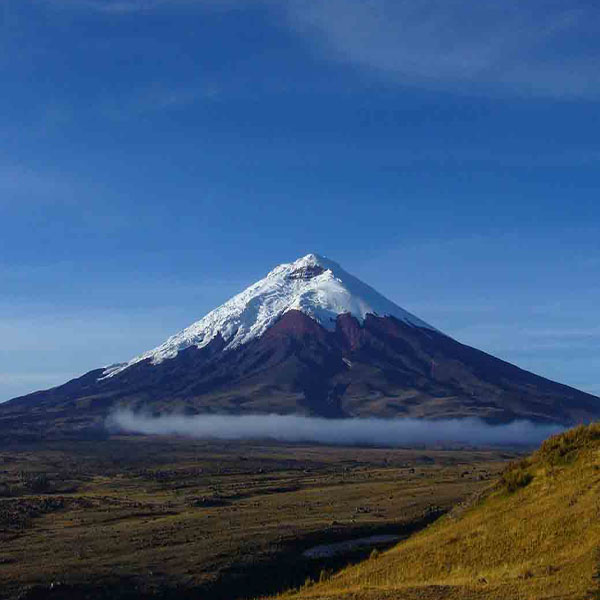 Glacier Capped Volcano will make a perfect background for any fresh or salt water tank or aquarium as well as dry terrariums.