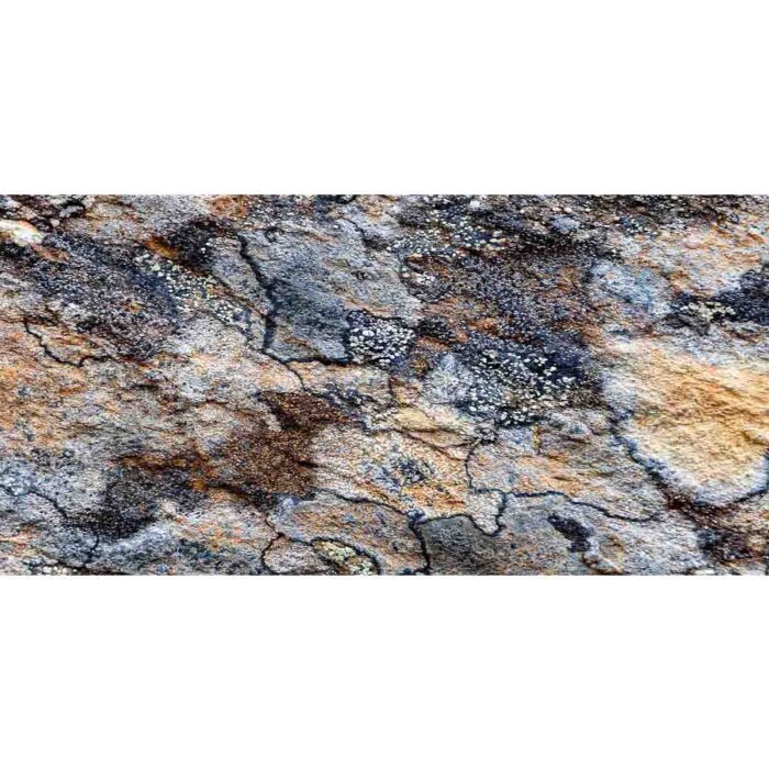 Gray Lichens Background will make a perfect background for any fresh or salt water tank or aquarium as well as dry terrariums.