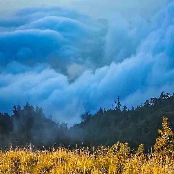 Gunung Volcano Landscape will make a perfect background for any fresh or salt water tank or aquarium as well as dry terrariums.