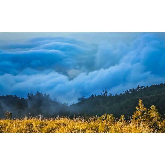 Gunung Volcano Landscape will make a perfect background for any fresh or salt water tank or aquarium as well as dry terrariums.