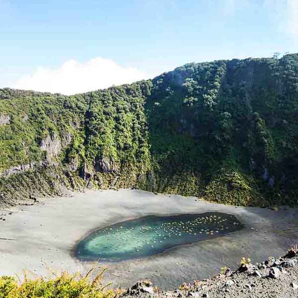 Hikers Dream Volcano will make a perfect background for any fresh or salt water tank or aquarium as well as dry terrariums.