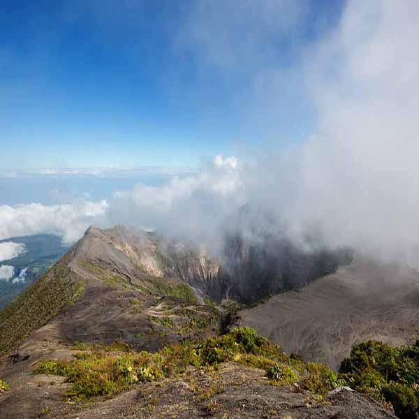 Hikers Dream Volcano III will make a perfect background for any fresh or salt water tank or aquarium as well as dry terrariums.