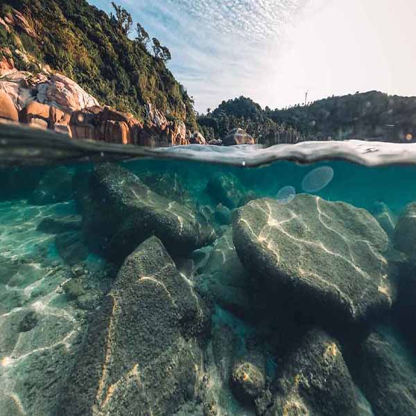 Island Beach Underwater will make a perfect background for any fresh or salt water tank or aquarium as well as dry terrariums.