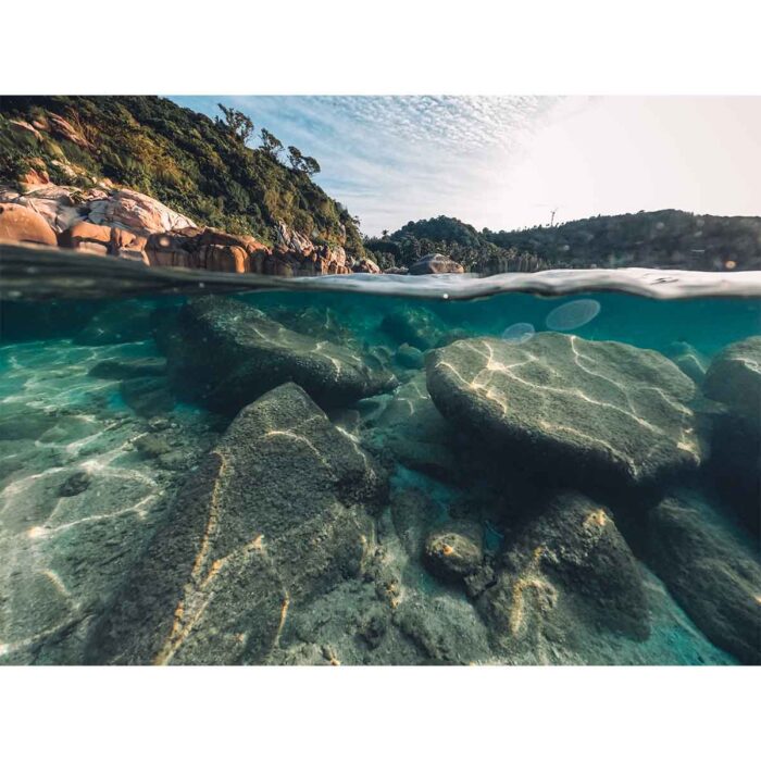 Island Beach Underwater will make a perfect background for any fresh or salt water tank or aquarium as well as dry terrariums.