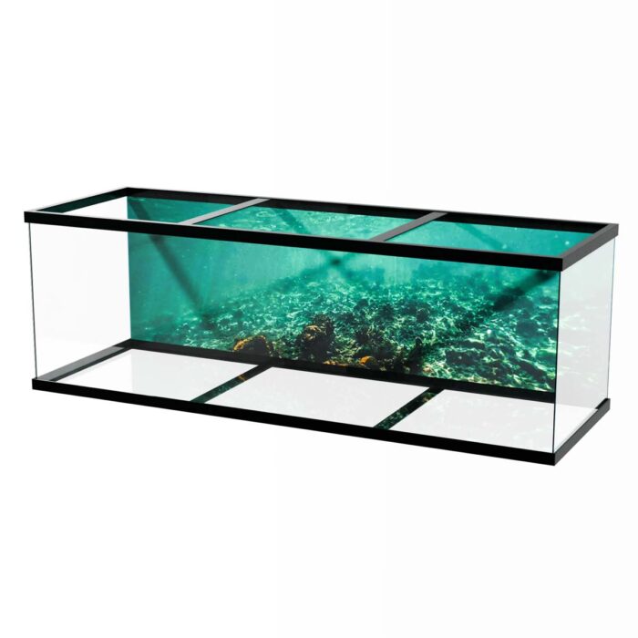 Shallow Reef Underwater will make a perfect background for any fresh or salt water tank or aquarium as well as dry terrariums.