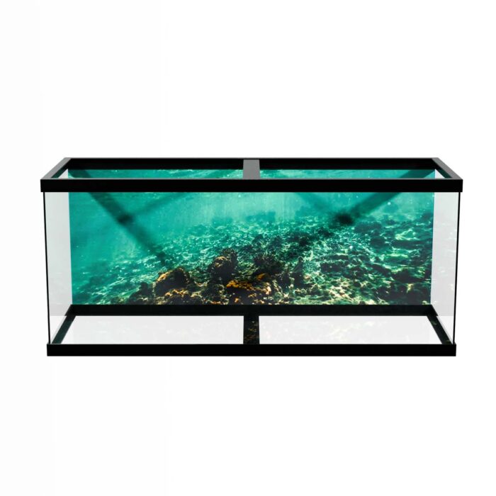 Shallow Reef Underwater will make a perfect background for any fresh or salt water tank or aquarium as well as dry terrariums.