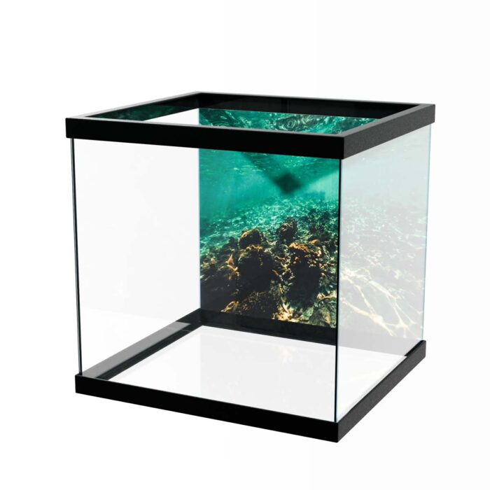 Shallow Reef Underwater will make a perfect background for any fresh or salt water tank or aquarium as well as dry terrariums.