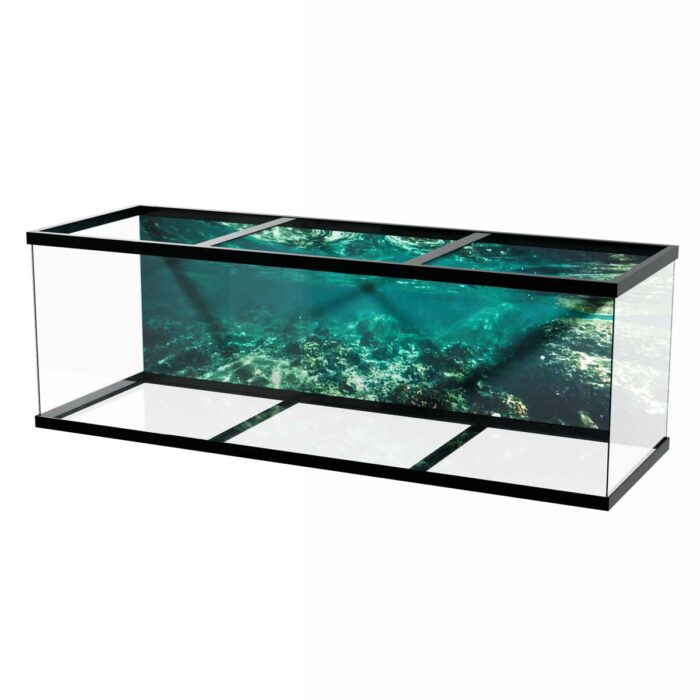 Shallow Reef Underwater II will make a perfect background for any fresh or salt water tank or aquarium as well as dry terrariums.