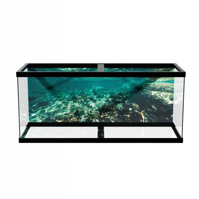 Shallow Reef Underwater II will make a perfect background for any fresh or salt water tank or aquarium as well as dry terrariums.