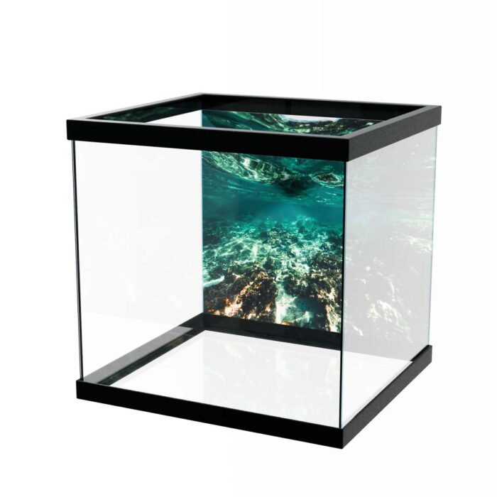 Shallow Reef Underwater II will make a perfect background for any fresh or salt water tank or aquarium as well as dry terrariums.