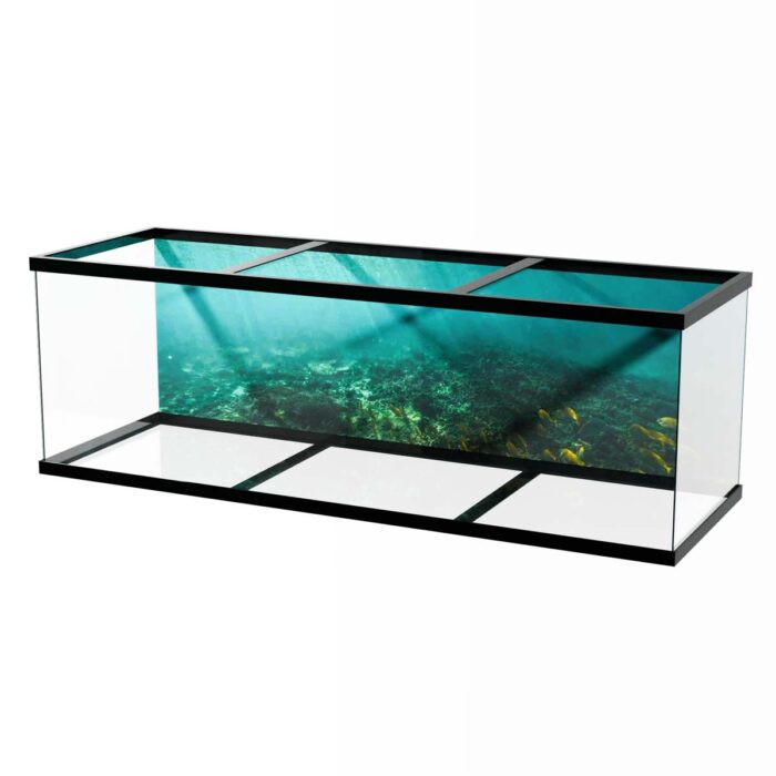 Shallow Ocean Floor will make a perfect background for any fresh or salt water tank or aquarium as well as dry terrariums.