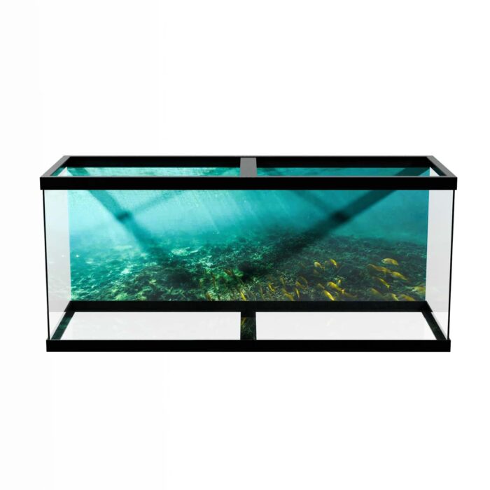 Shallow Ocean Floor will make a perfect background for any fresh or salt water tank or aquarium as well as dry terrariums.