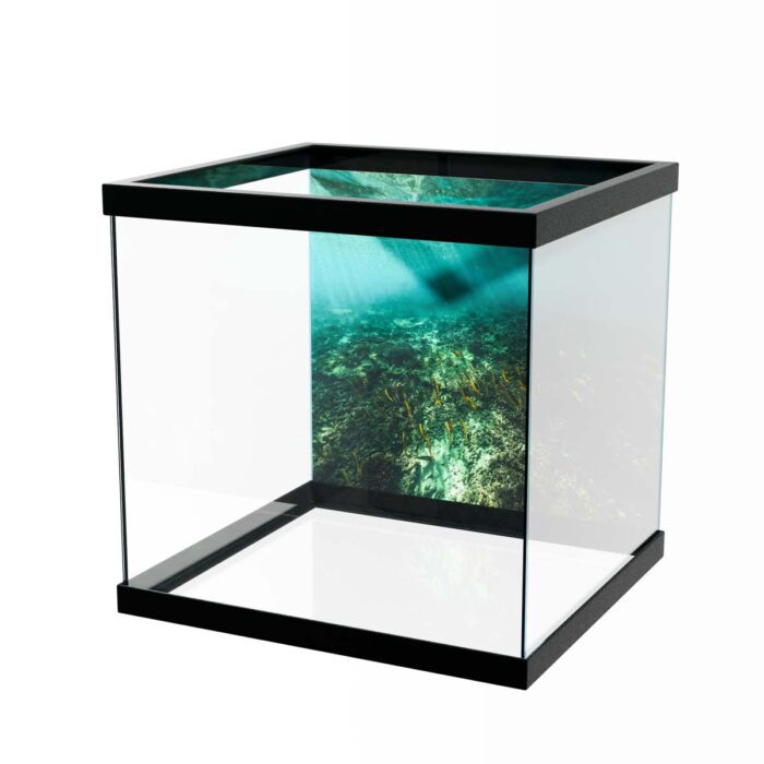 Shallow Ocean Floor will make a perfect background for any fresh or salt water tank or aquarium as well as dry terrariums.