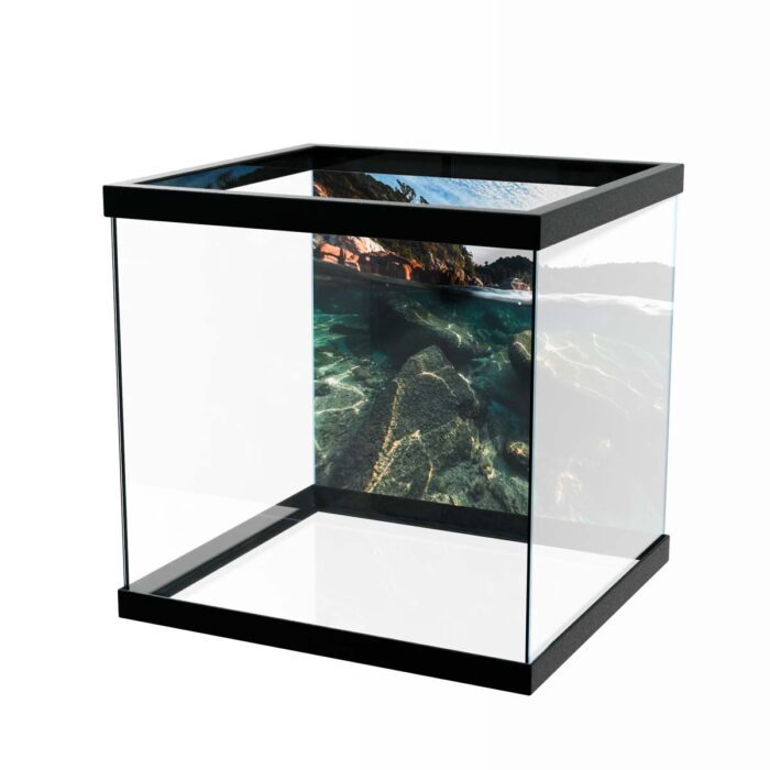 Island Beach Underwater will make a perfect background for any fresh or salt water tank or aquarium as well as dry terrariums.