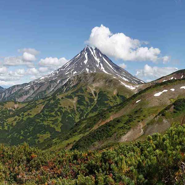 Kamchatka Volcanic Landscape will make a perfect background for any fresh or salt water tank or aquarium as well as dry terrariums.