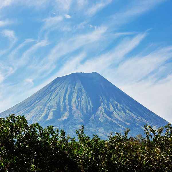 Massive Nicaragua Volcano will make a perfect background for any fresh or salt water tank or aquarium as well as dry terrariums.