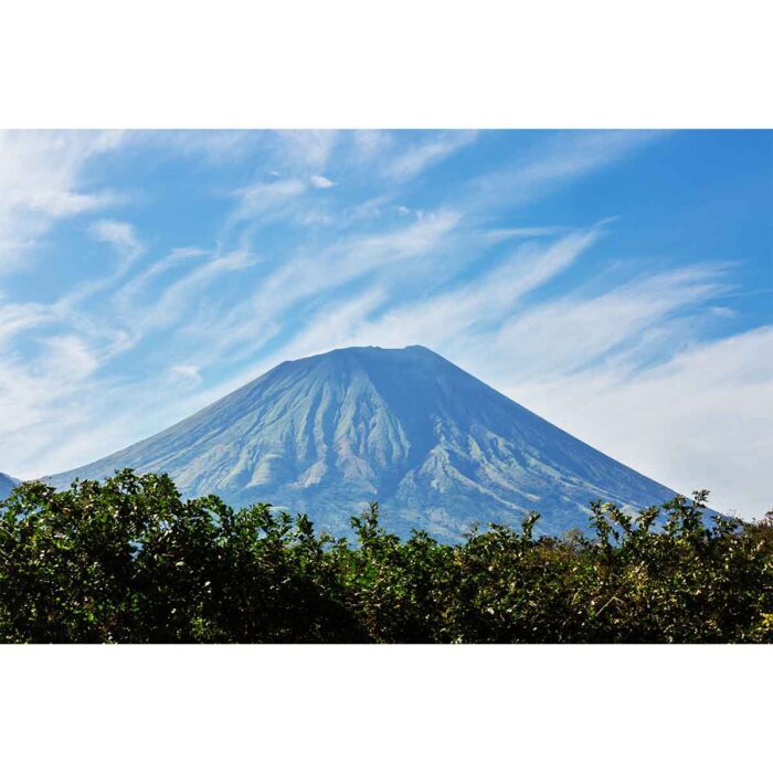 Massive Nicaragua Volcano will make a perfect background for any fresh or salt water tank or aquarium as well as dry terrariums.