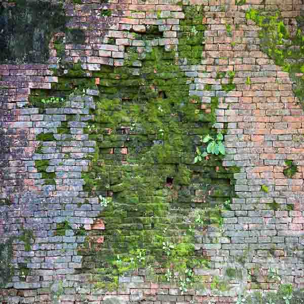 Mossy Stone Wall will make a perfect background for any fresh or salt water tank or aquarium as well as dry terrariums.