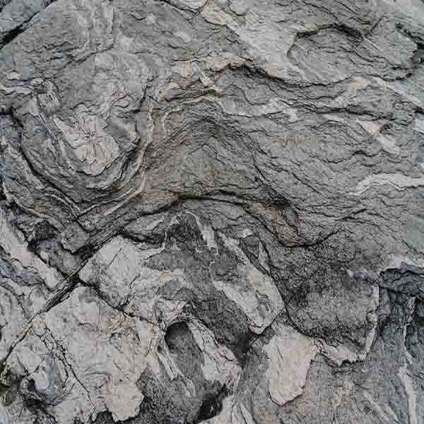 Natural Gray Rock will make a perfect background for any fresh or salt water tank or aquarium as well as dry terrariums.