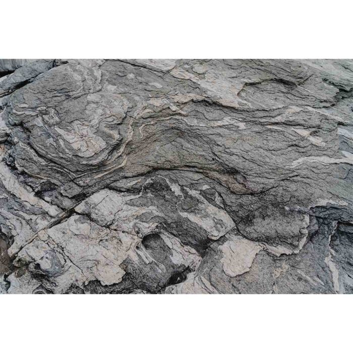 Natural Gray Rock will make a perfect background for any fresh or salt water tank or aquarium as well as dry terrariums.